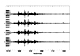 TXAR Columbia Infrasound Data